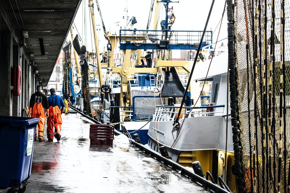 Fiskeindustri